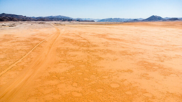 Feenkreise im Kaokoveld, Namib, Namibia.
