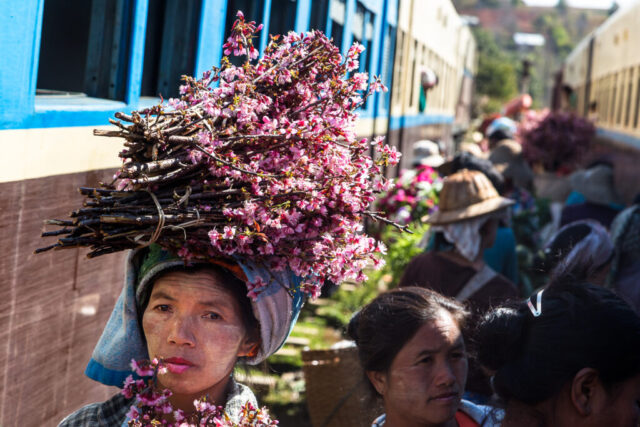 Blumenverkäuferin an der Bahnstrecke Kalaw-Thazi, Myanmar