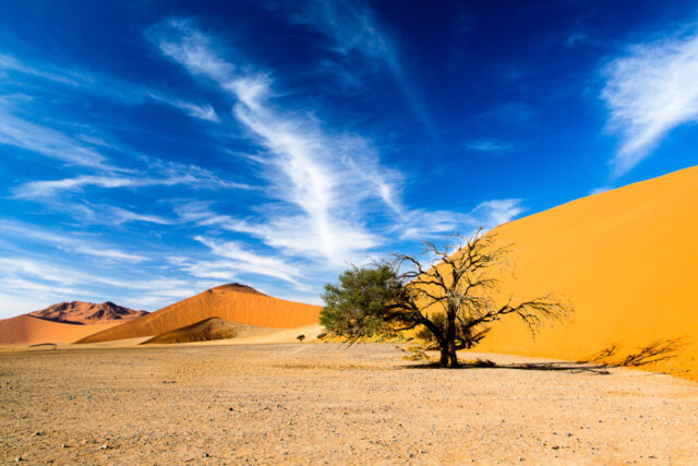 Dune 45, Tsauchabtal in der Namib, Namibia