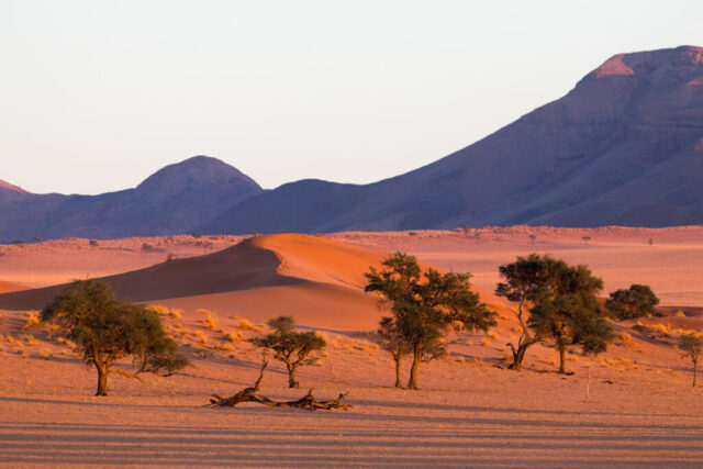 Namibrand, Namibia
