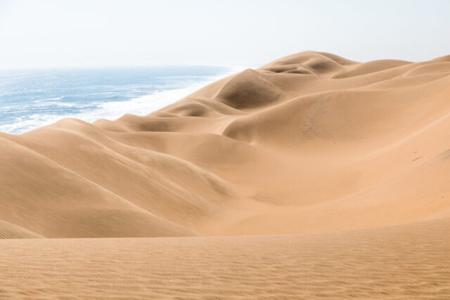 Dünennamib am atlantischen Ozean, Namibia