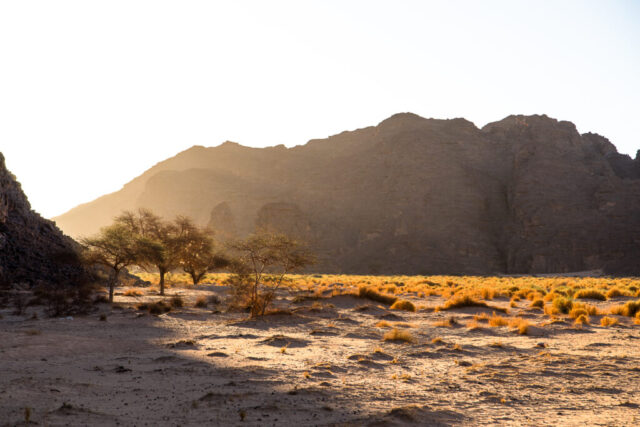 Tassili N'Ajjer, Sahara, Algerien