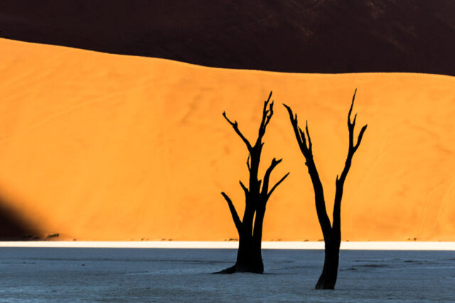 Dead Vlei, Namib, Namibia